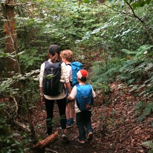 New children’s nature trail opens at Staveley Woodlands